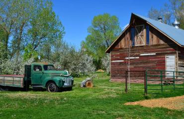 ya ya farm & orchard in longmont photo