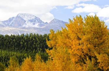 Rocky Mountain National Park Photo