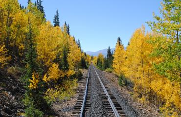 Fall in love! Photo
