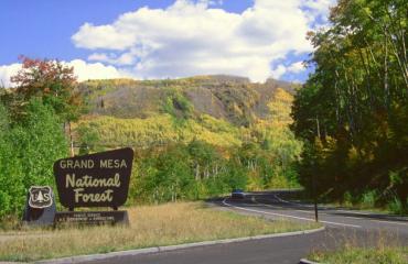 Grand Mesa Scenic Byway Photo