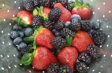 fresh fruit at firebrand deli photo