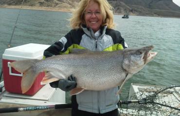 elk creek marina in gunnison photo