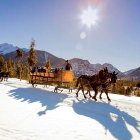 Horses pulling a sleigh over snow under bright sunny skies with mountain peaks rising in the background