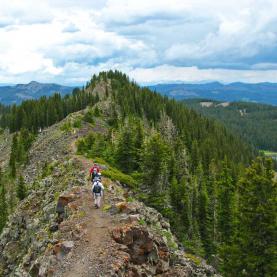 Hiking on the Grand Mesa near Grand Junction