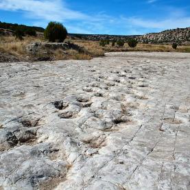 Otero County, CO