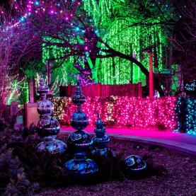 Denver's Zoo Lights
