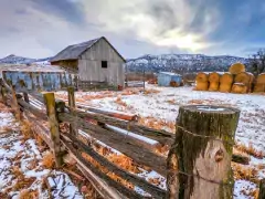 Winter in the Royal Gorge Region