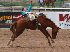 ride em' cowboy! photo