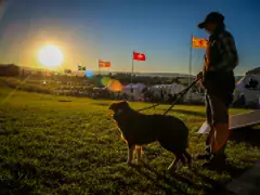 meeker classic sheepdog championship trials photo