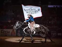 national western stock show & rodeo photo