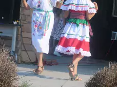 cinco de mayo photo