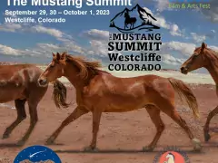 equus film & arts fest / the mustang summit westcliffe colorado photo
