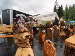carve wars photo