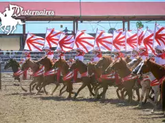 westernaires show at washington county fair, akron photo