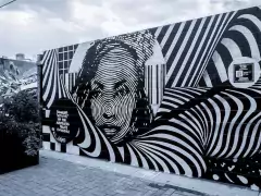 denver walls 2023 photo