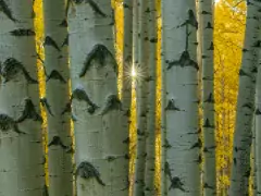 fall colors photography workshop photo