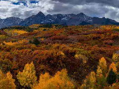 colorado fall colors – photography workshop – 2023 photo