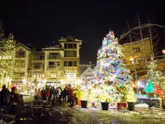 holiday prelude photo