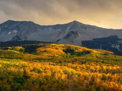 colorado fall colors – photography workshop – 2024 photo