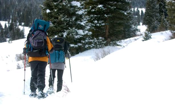 Two winter adventurers use poles and snowshoes to trek along a snowy landscape in Colorado's backcountry.