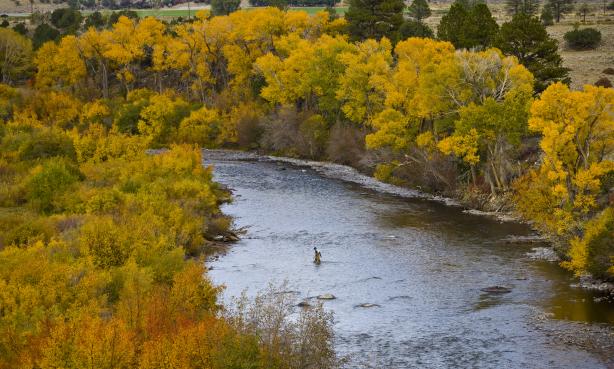 The area's Gold Medal waters 