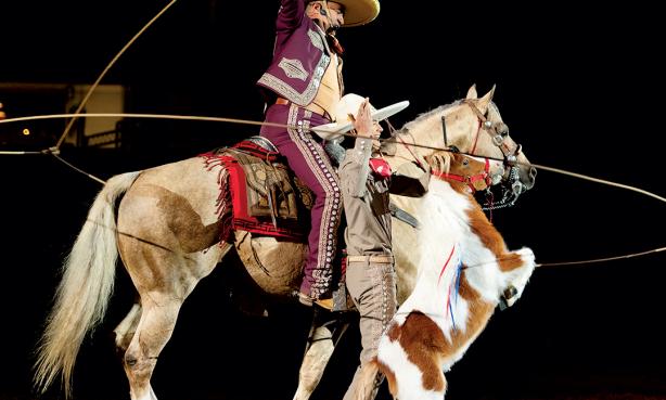 Two cowboys and horses at Mexican Rodeo Extravaganza at Denver's National Western Stock Show