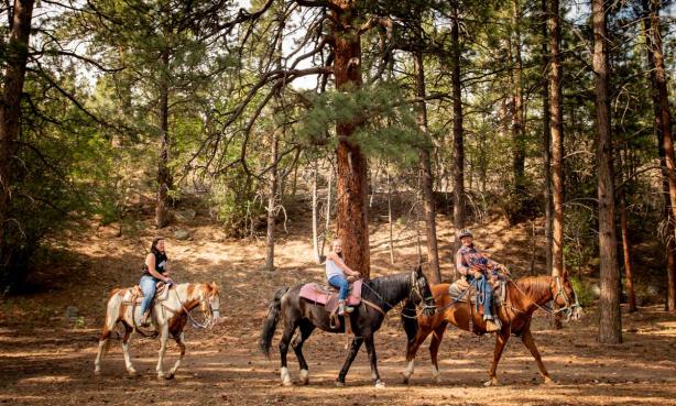 Three riders guide their horses through a forested area