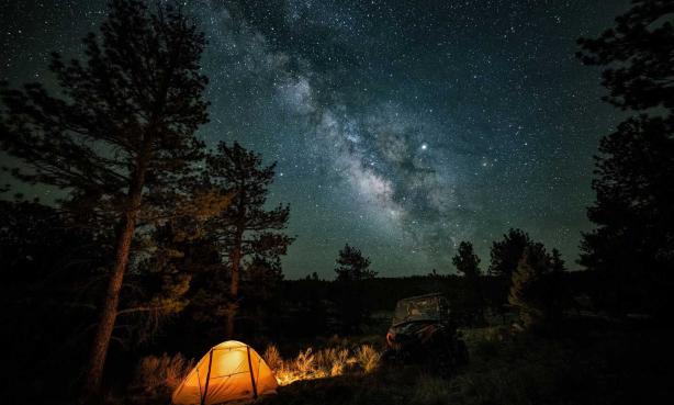 A view of the Milky Way near Westcliffe, with towering pine trees and the warm glow from a yellow tent lit from within