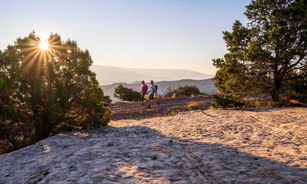 Hikers on the trail as the sun sets behind a tree