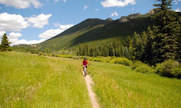 A mountain biker rides singletrack trail surrounded by a grassy field with mountains in the background and blue sky above.