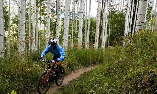 Mountain biker riding on a trail through an Aspen forest near Vail