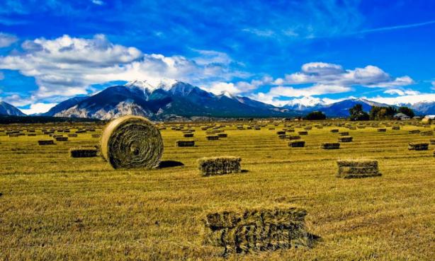 Views along the Collegiate Peaks Scenic Byway near Salida