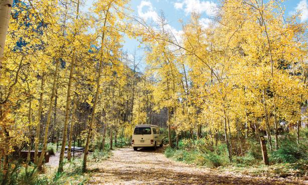 Camper van road trip through golden aspens
