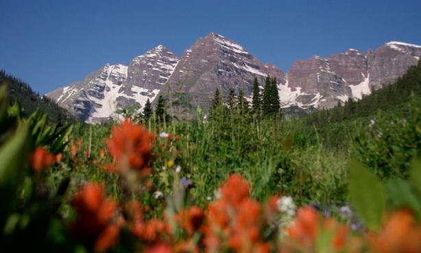 Lush field with a mountain in the background