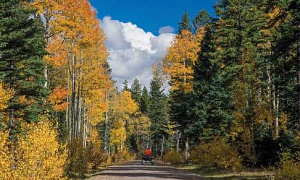4-Wheeling on the Uncompahgre Plateau near Montrose