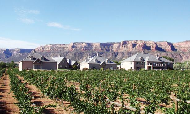 Wine Your Way Around Colorado