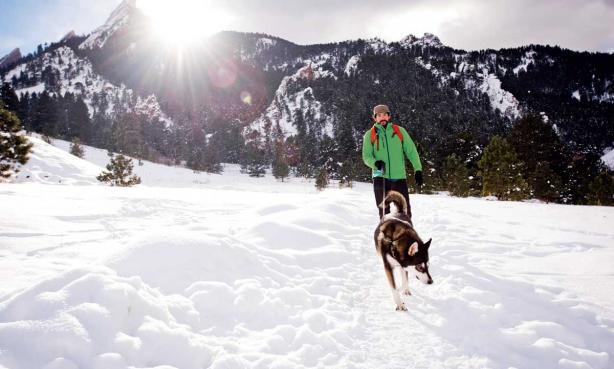 Plan Snowy Playtime with Your Pup in Colorado This Winter