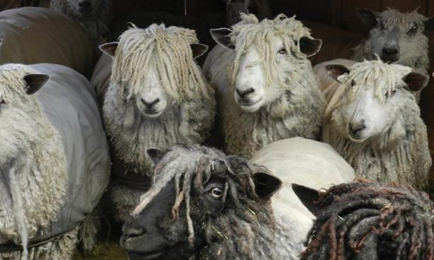 Thread Bearers: A Closer Look at Fiber Artisans Thread Bearers: A Closer Look at Fiber Artisans