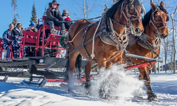 Sleigh Ride at Snow Mountain Ranch