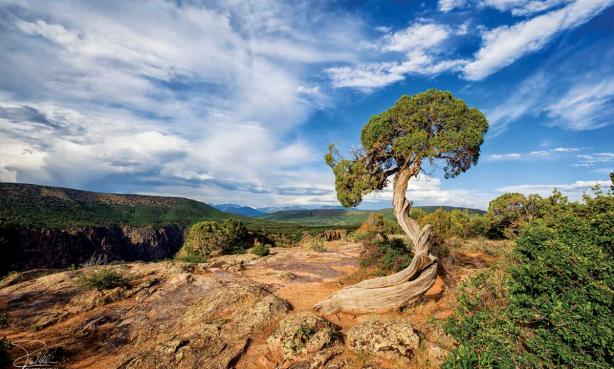 Black Canyon of the Gunnison National Park