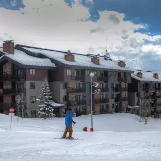 bear claw from stampede ski run photo