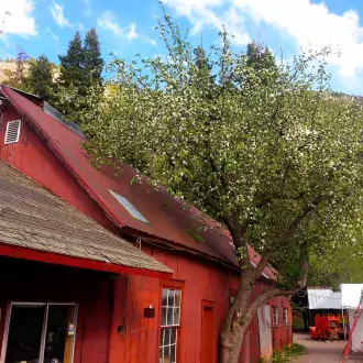 main mine building photo