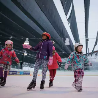 stephen c. west ice arena photo