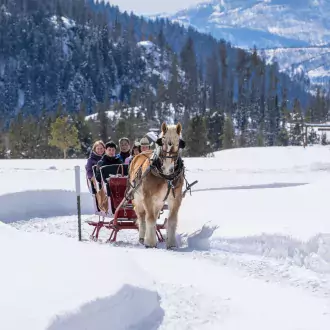 family sleigh ride photo