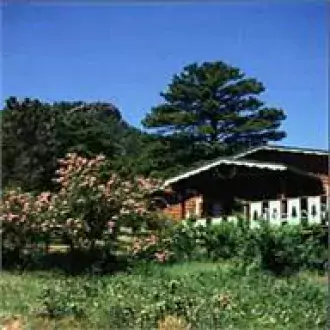 machin's cottages in the pines photo