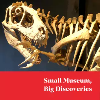 morrison museum: small museum, big discoveries photo