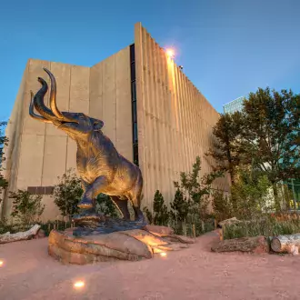 Exploring the Wonders of the University of Colorado Natural History Museum