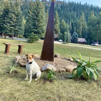 wind harp photo