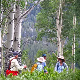 adults enjoying one of our guided summer hikes photo