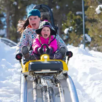 alpine coaster photo